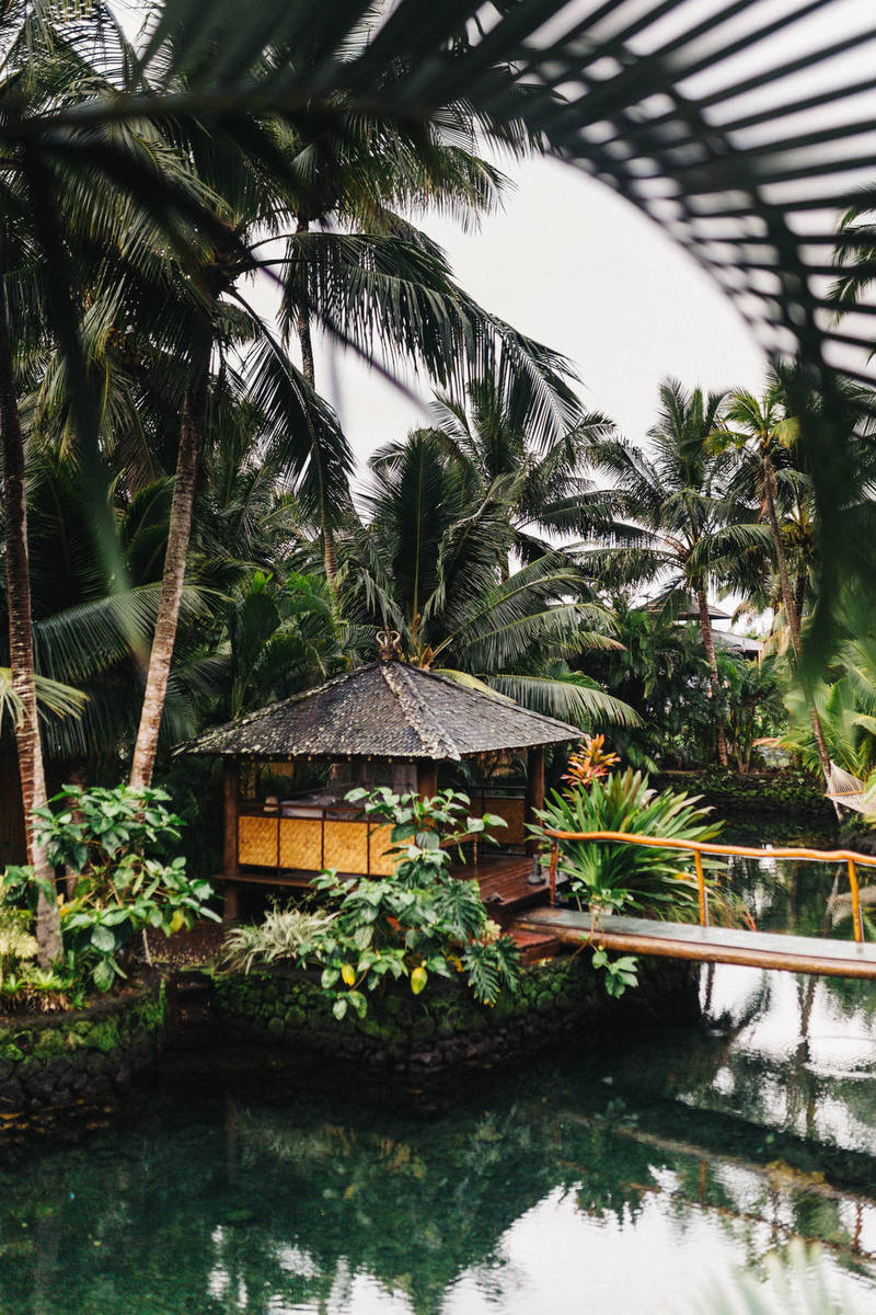 Top 10 Robots in Gaming Industry, Ranked